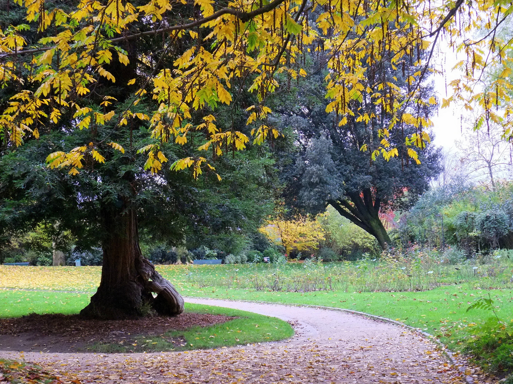 parc montsouris